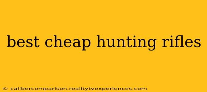 best cheap hunting rifles