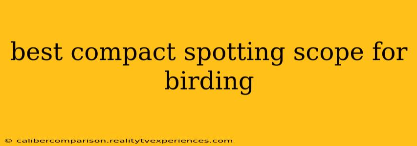 best compact spotting scope for birding