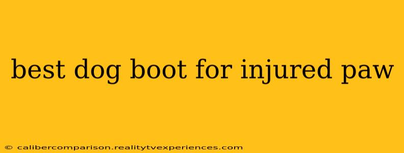 best dog boot for injured paw