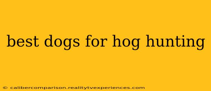 best dogs for hog hunting