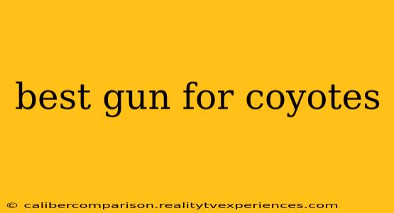 best gun for coyotes