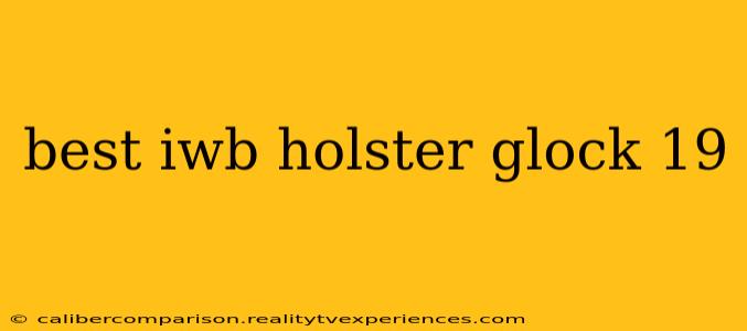 best iwb holster glock 19