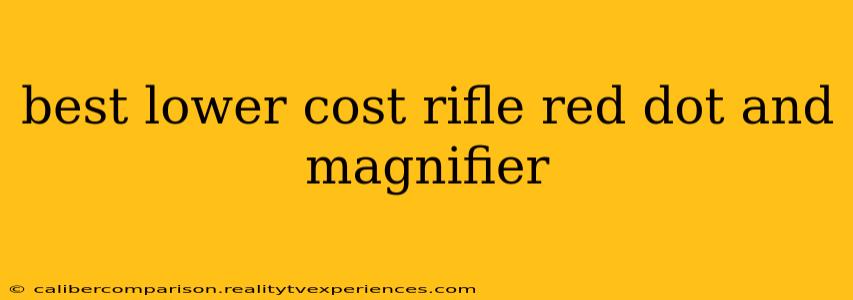 best lower cost rifle red dot and magnifier