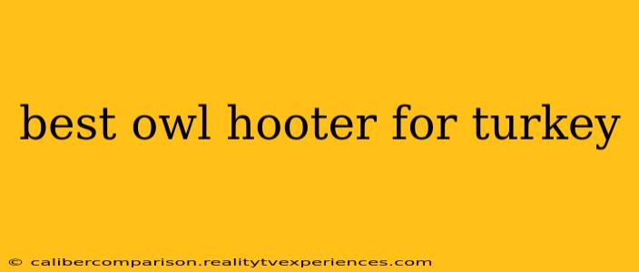 best owl hooter for turkey