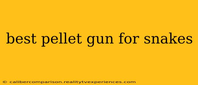 best pellet gun for snakes