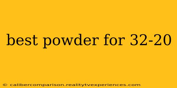 best powder for 32-20