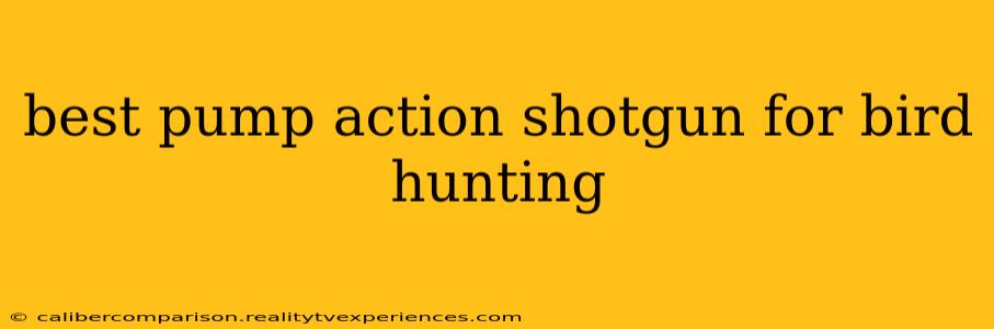 best pump action shotgun for bird hunting