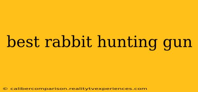 best rabbit hunting gun