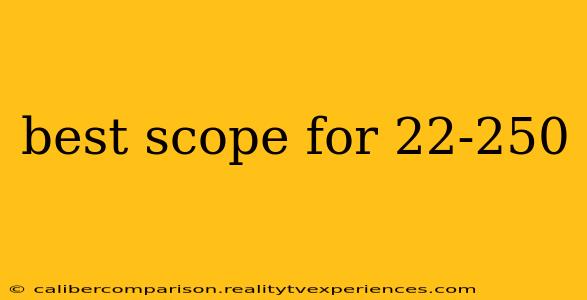 best scope for 22-250