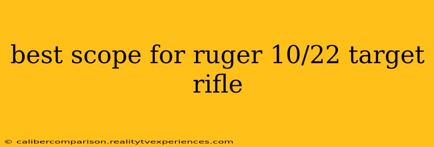 best scope for ruger 10/22 target rifle