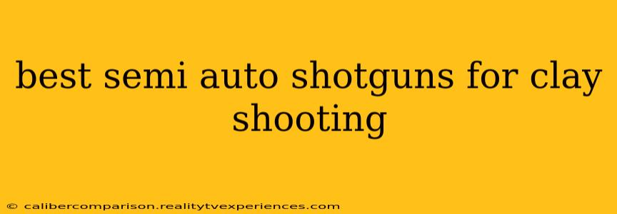 best semi auto shotguns for clay shooting