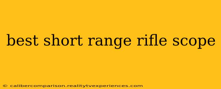 best short range rifle scope