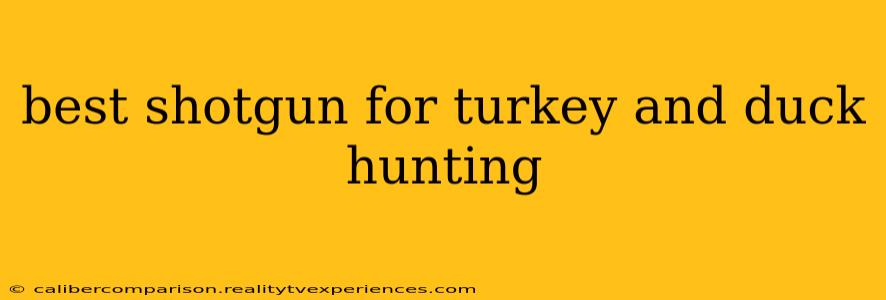 best shotgun for turkey and duck hunting