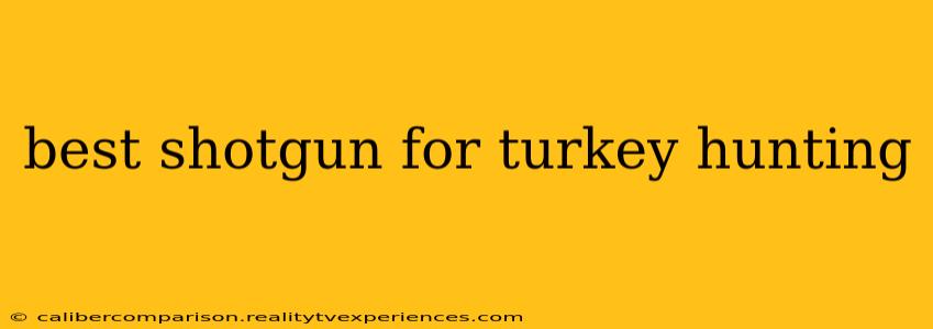 best shotgun for turkey hunting