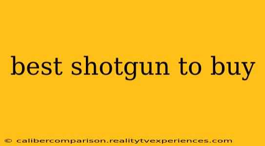 best shotgun to buy