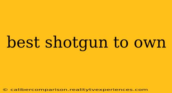 best shotgun to own