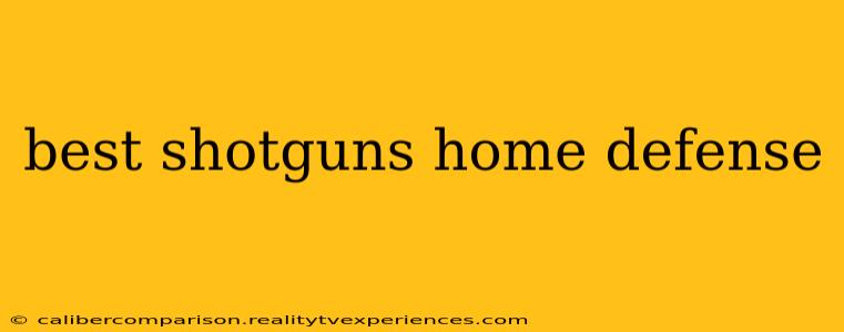 best shotguns home defense