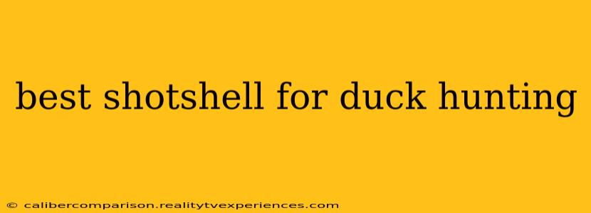 best shotshell for duck hunting