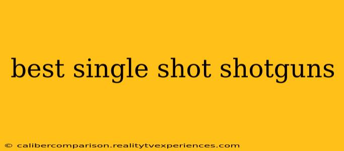 best single shot shotguns