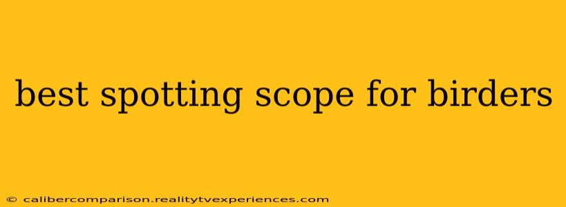 best spotting scope for birders