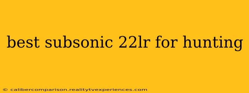 best subsonic 22lr for hunting