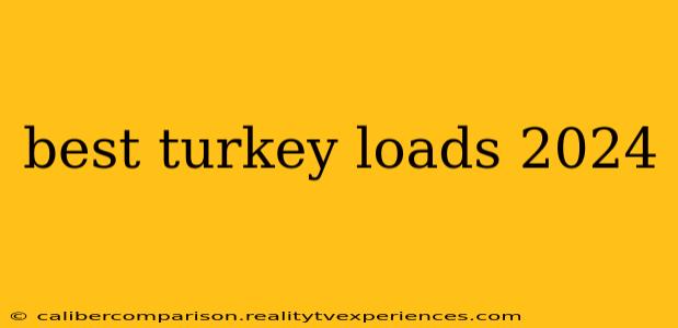 best turkey loads 2024