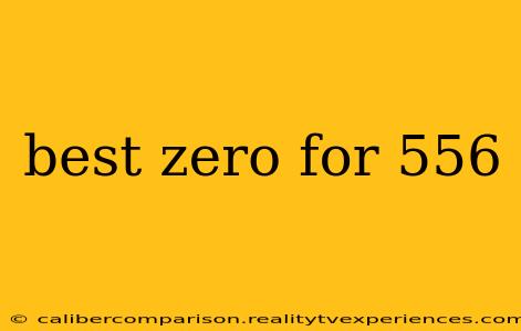 best zero for 556