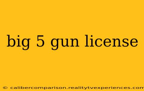 big 5 gun license