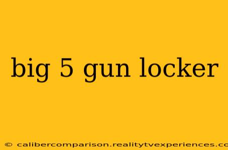 big 5 gun locker