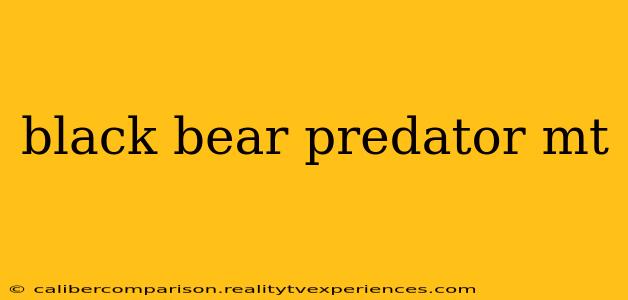 black bear predator mt