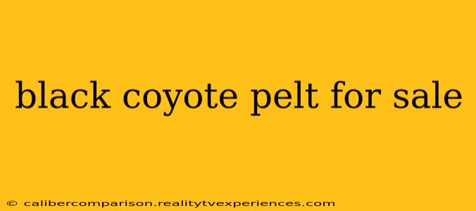 black coyote pelt for sale