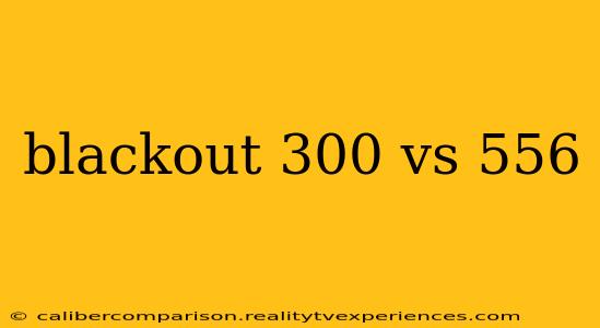 blackout 300 vs 556