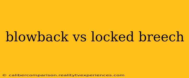 blowback vs locked breech