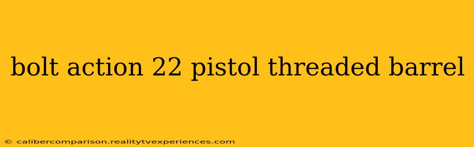 bolt action 22 pistol threaded barrel