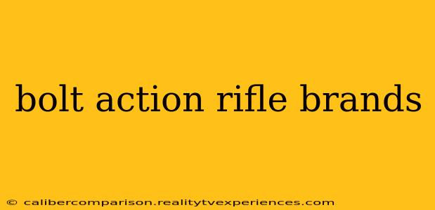 bolt action rifle brands