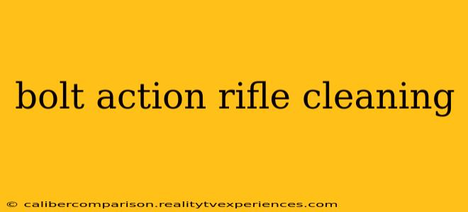 bolt action rifle cleaning