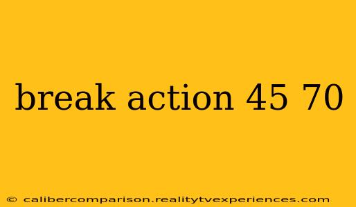 break action 45 70