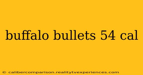 buffalo bullets 54 cal