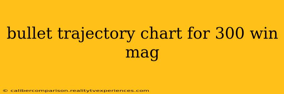 bullet trajectory chart for 300 win mag