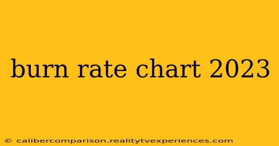 burn rate chart 2023