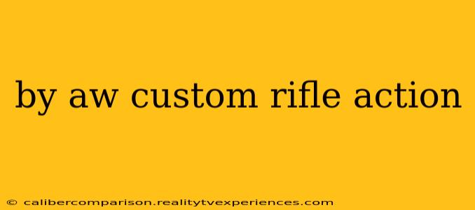 by aw custom rifle action