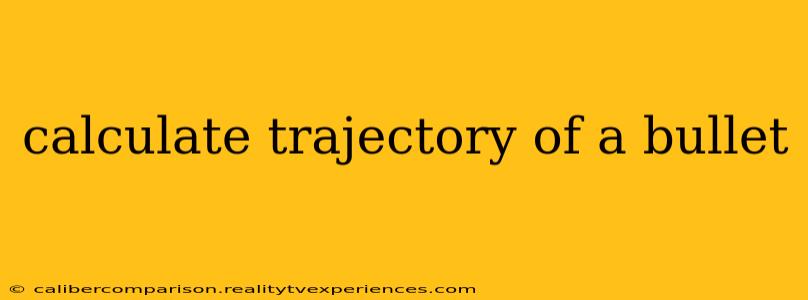 calculate trajectory of a bullet