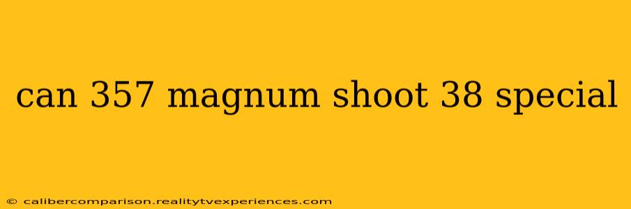 can 357 magnum shoot 38 special