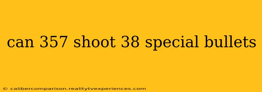 can 357 shoot 38 special bullets