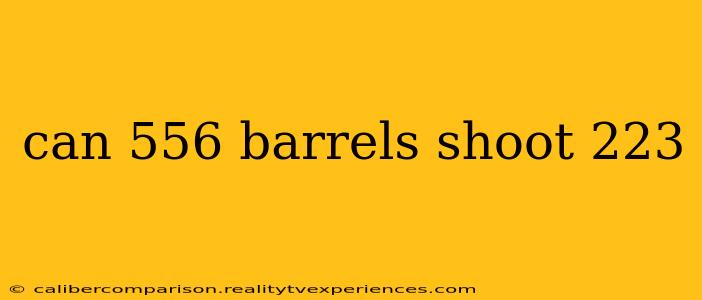 can 556 barrels shoot 223