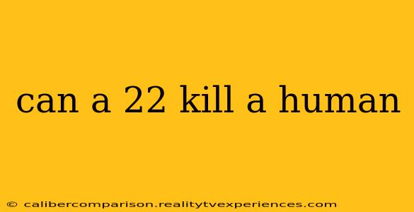 can a 22 kill a human