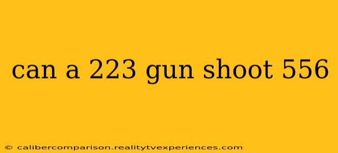 can a 223 gun shoot 556