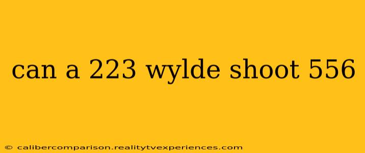 can a 223 wylde shoot 556