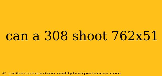 can a 308 shoot 762x51