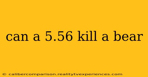 can a 5.56 kill a bear